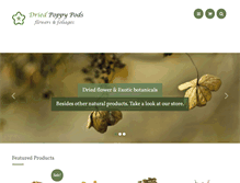 Tablet Screenshot of driedpoppypods.org